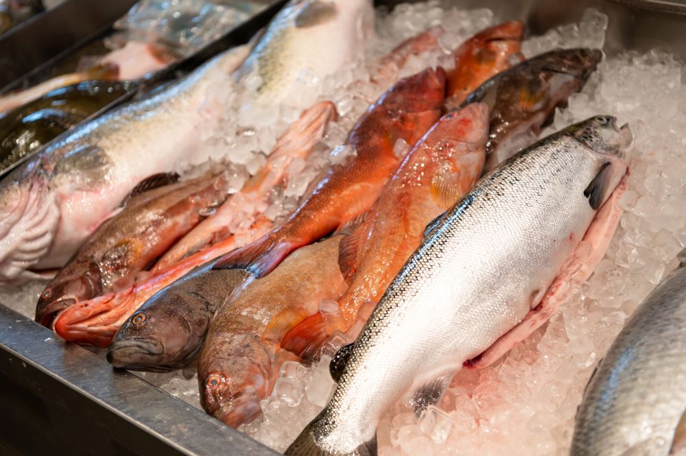 New Seafood Labelling Laws For Small Businesses In Hospitality ...