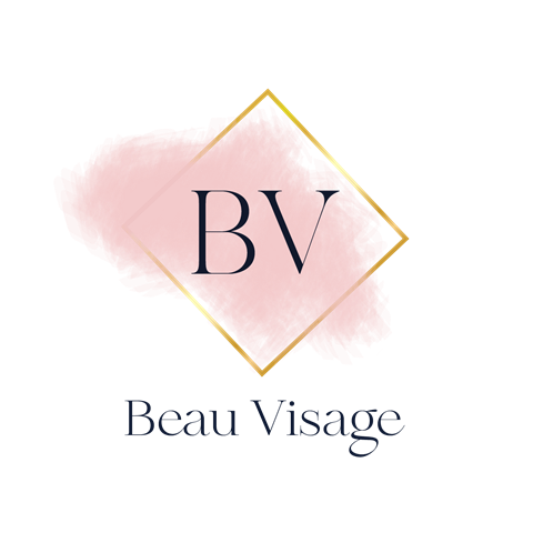 BV_logo_transparent_png